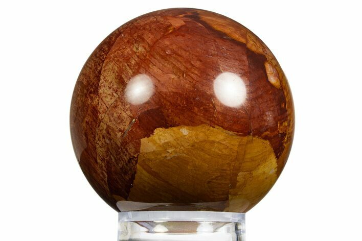 Colorful Chinchilla Petrified Wood (Conifer) Sphere - Australia #311757